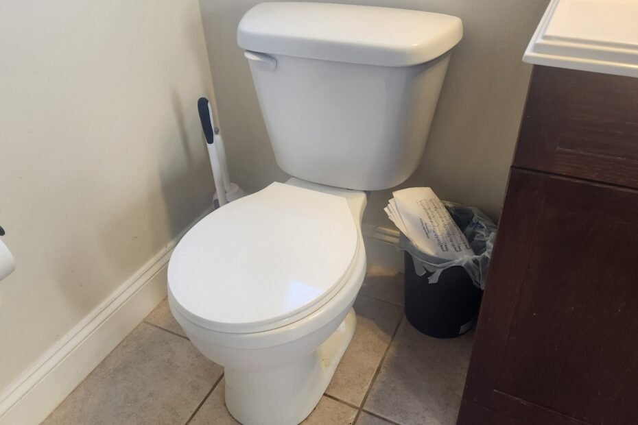 New toilet installed in a bathroom