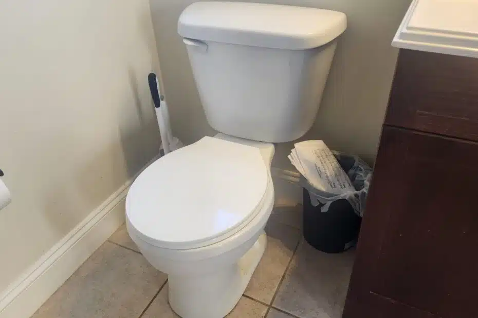 New toilet installed in a bathroom